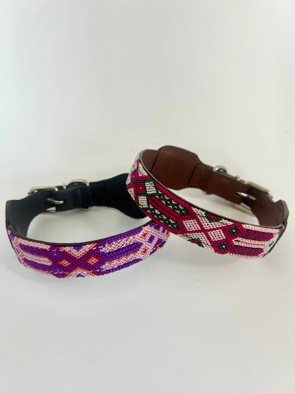 Dog Collars