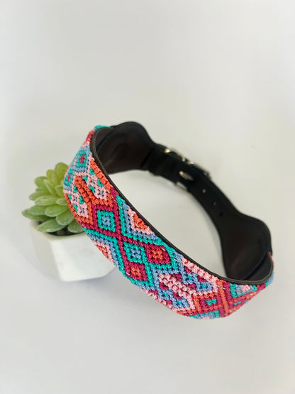 Dog Collars