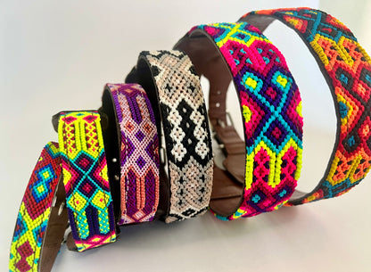 Dog Collars